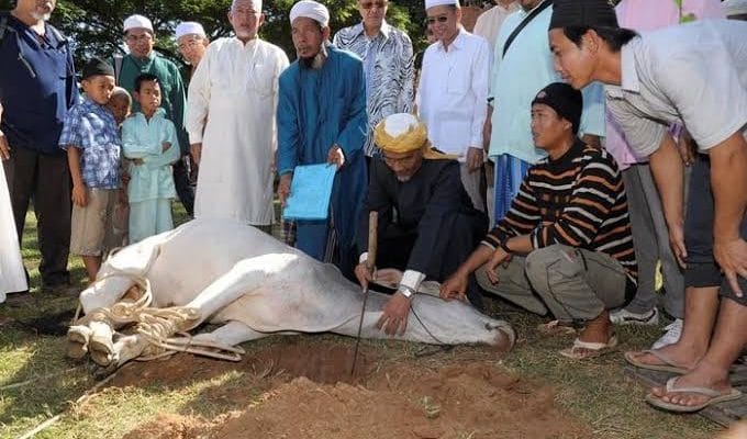 Ketahui Larangan Larangan Dalam Praktik Ibadah Qurban Menurut Fiqih